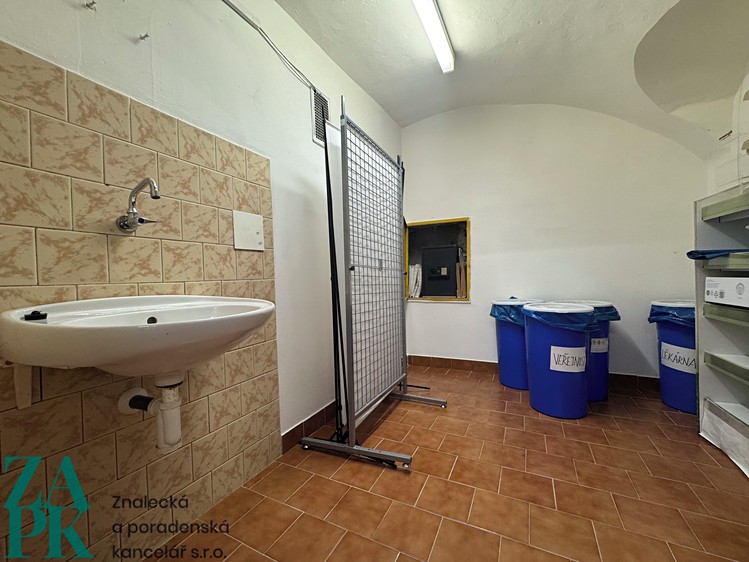 Pronájem komerčního prostoru, 226 m² (15 z 31)