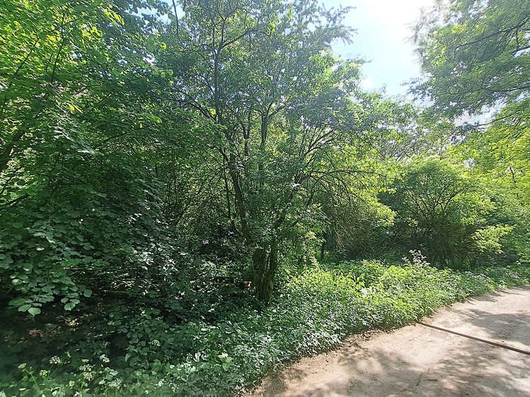 Ostatní