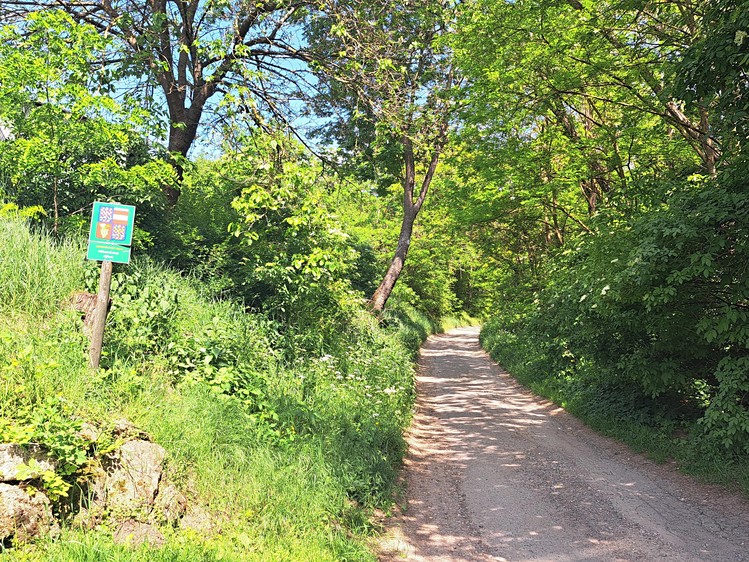 Ostatní