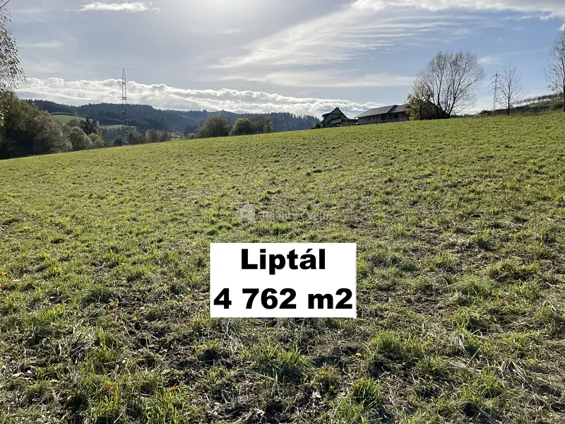 Prodej pole 4762 m², Liptál – náhled fotky 1