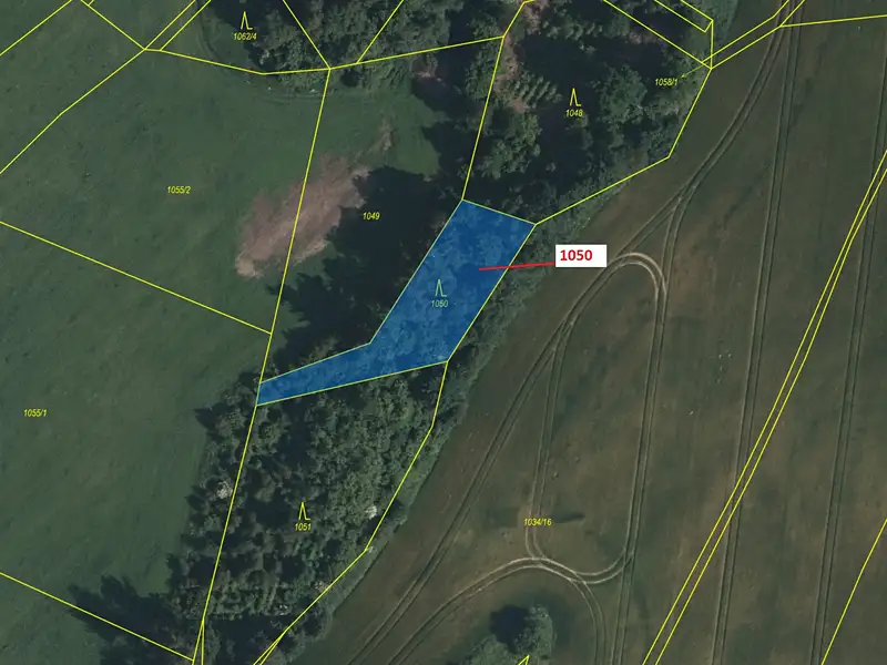 Dražba lesa 1007 m², Volfířov – náhled fotky 2