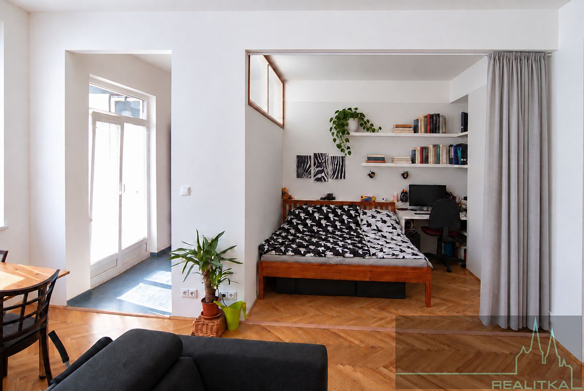 Pronájem bytu 1+kk 43 m², Brno – fotka 1 z 3