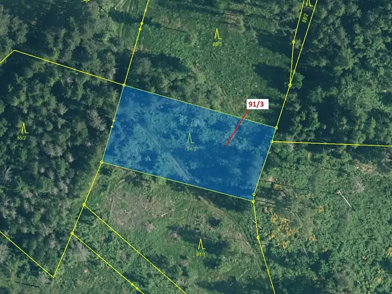 Dražba lesa 1958 m², Pačejov – náhled fotky 2