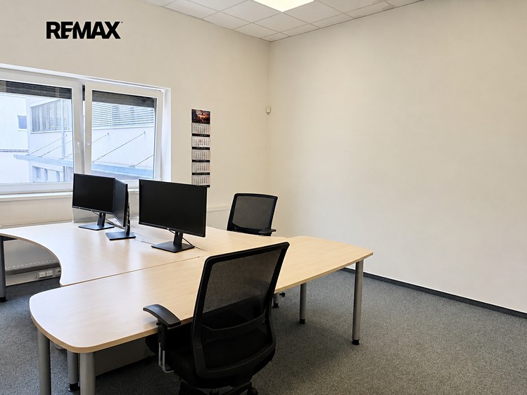 Pronájem komerčního prostoru, 229 m² (3 z 17)