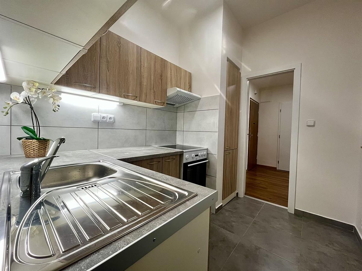 Pronájem bytu 2+1 50 m² – fotografie 5