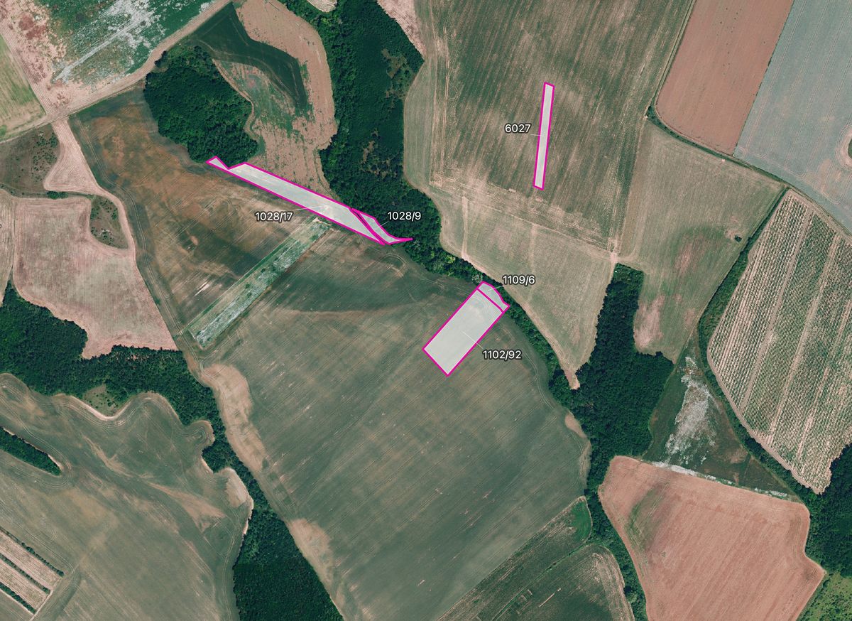 Prodej pole 6896 m², Džbánice – fotka 1 z 3