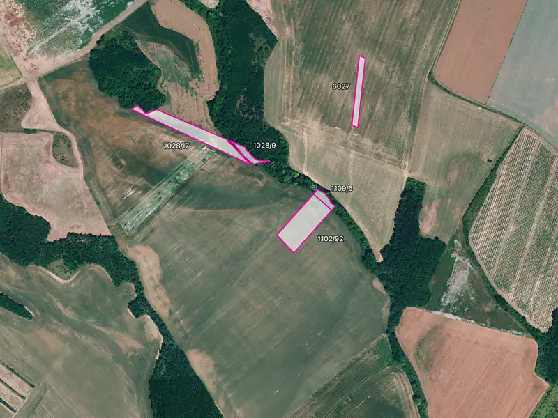 Prodej pole 6896 m², Džbánice – náhled fotky 1