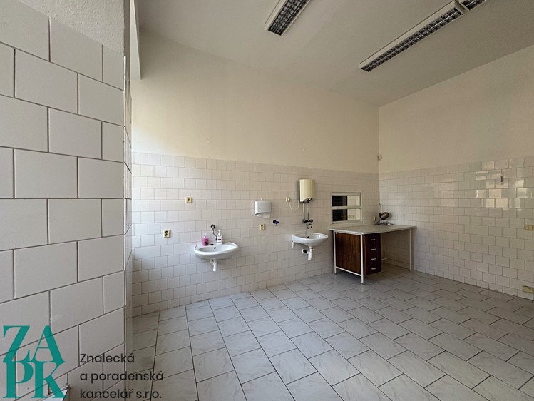 Pronájem komerčního prostoru, 226 m² (16 z 31)