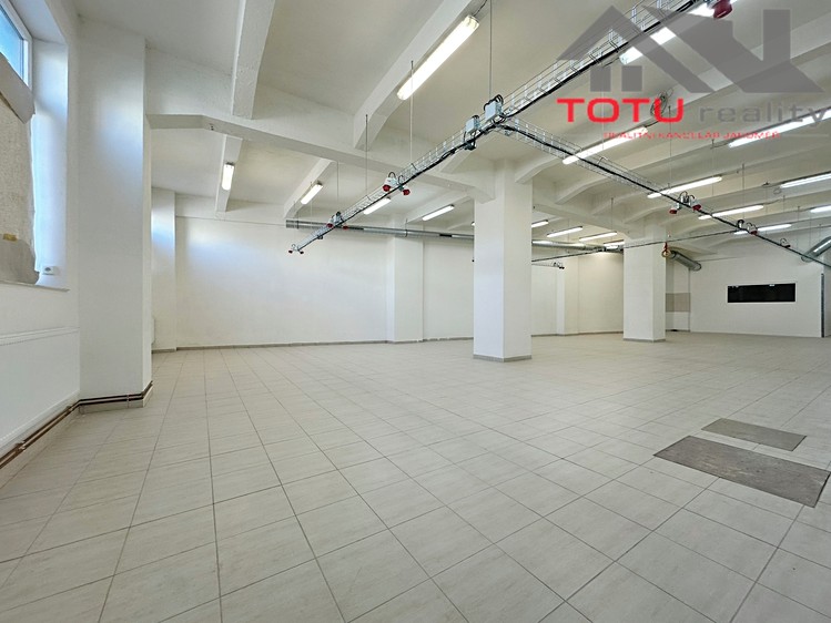 Комерційне приміщення в оренду, 205 м² (5 з 16)