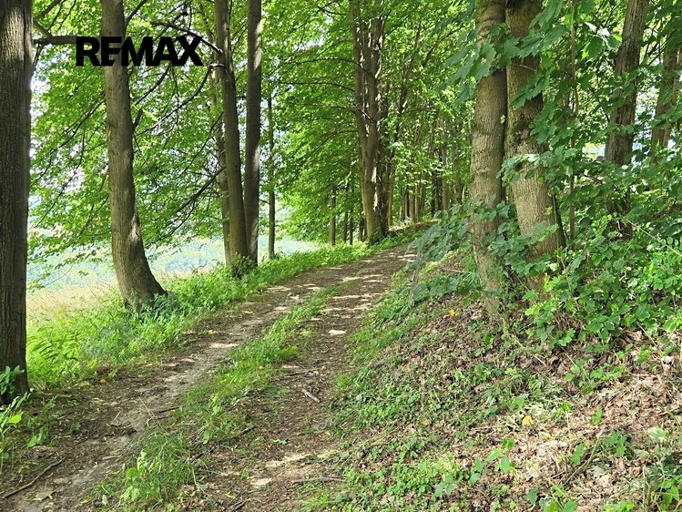 Grundstück zum Kauf, 26.680 m² (20 von 23)