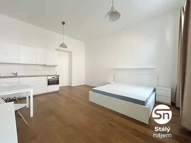 Pronájem bytu 1+kk 42 m², Praha – náhled fotky 1
