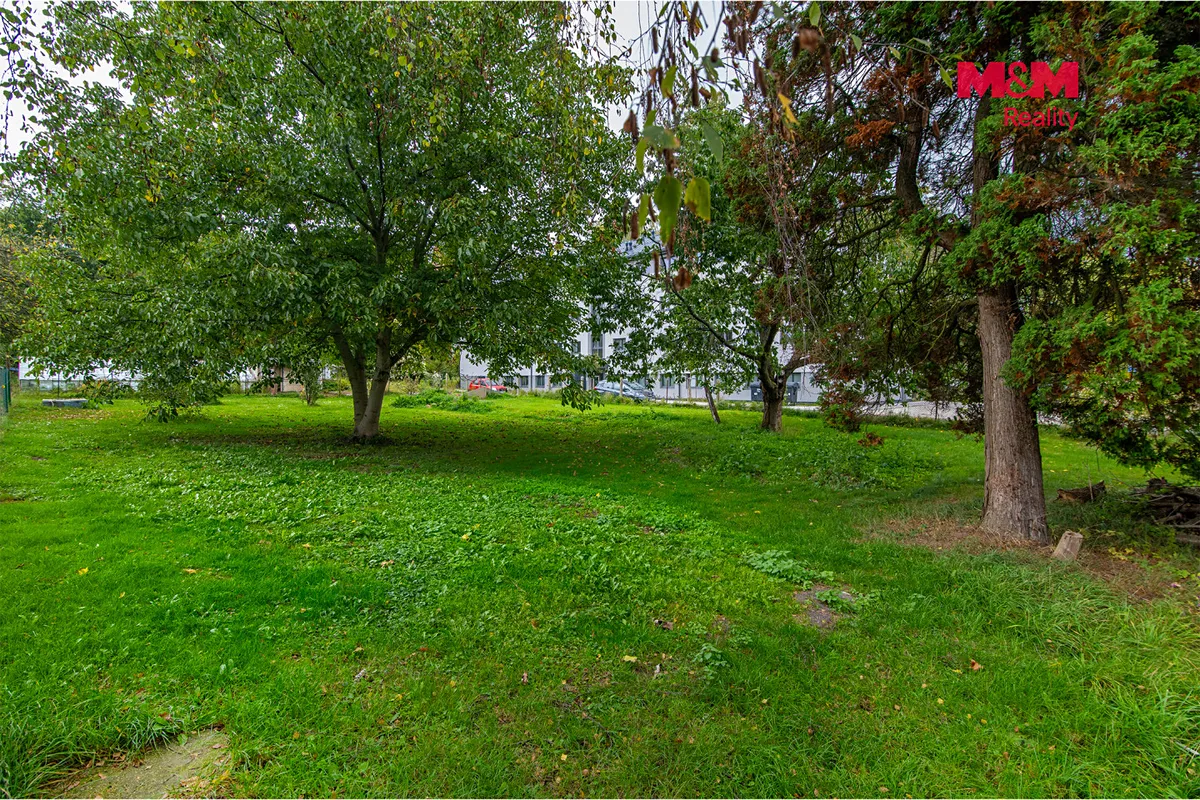 Fotka 3 z 14