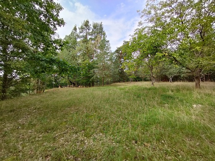 Prodej pozemku, 10 524 m² (8 z 9)
