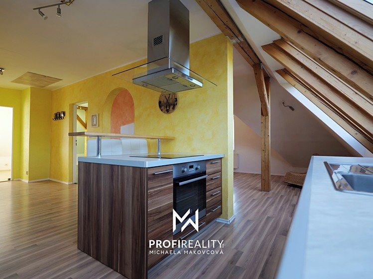 Pronájem bytu 2+1, 70 m² (3 z 18)
