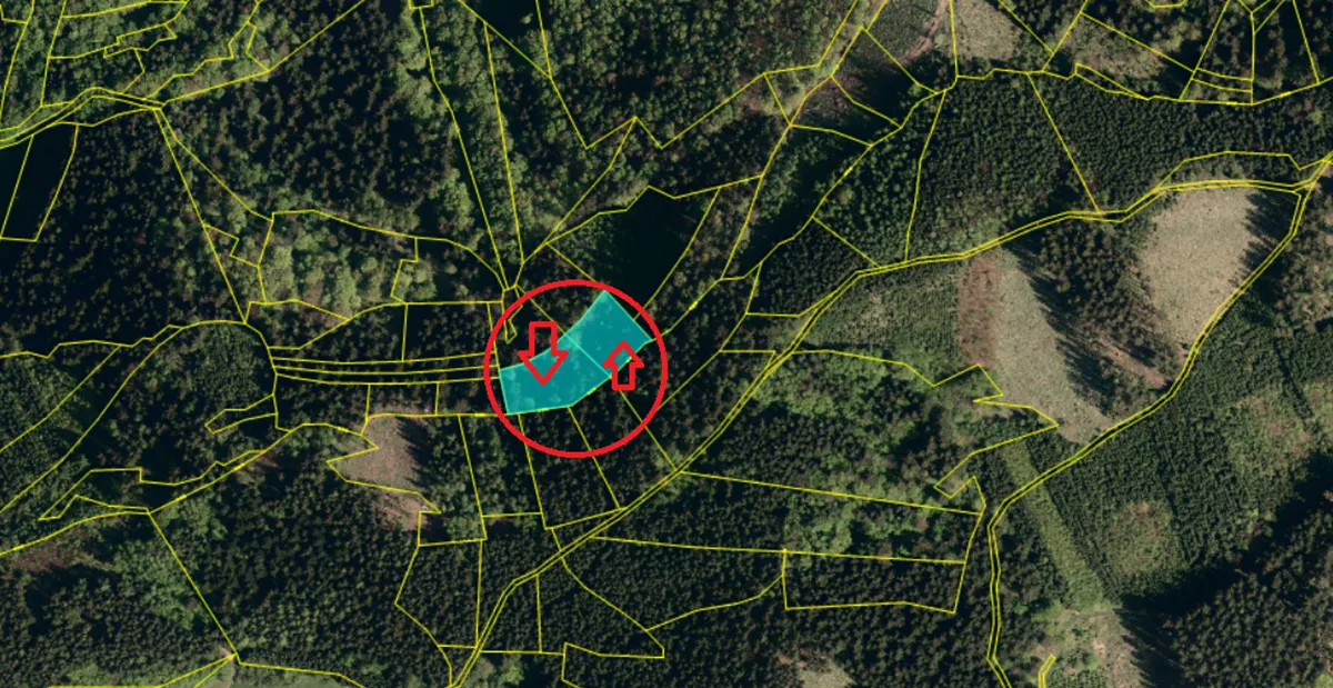 Prodej podílu 2/6 lesa 1373 m²