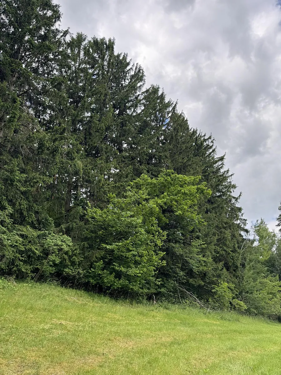 Prodej pozemku 19364 m²