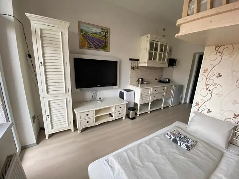 Pronájem bytu 1+kk 31 m², Slapy – náhled fotky 2
