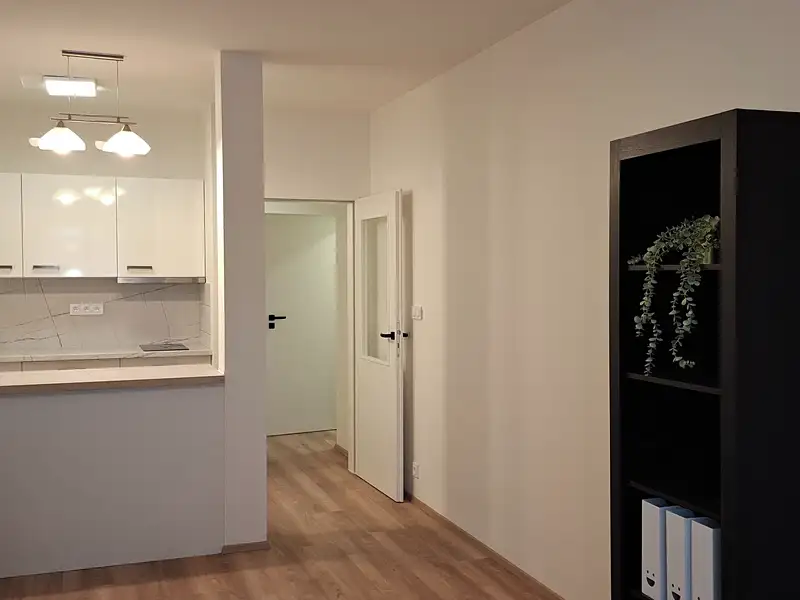Pronájem bytu 1+kk 34 m², Praha – náhled fotky 3