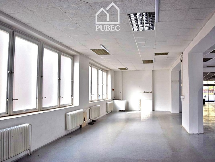Pronájem komerčního prostoru, 254 m² (5 z 8)
