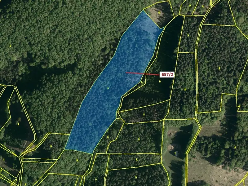 Dražba lesa 22874 m², Neubuz – náhled fotky 2