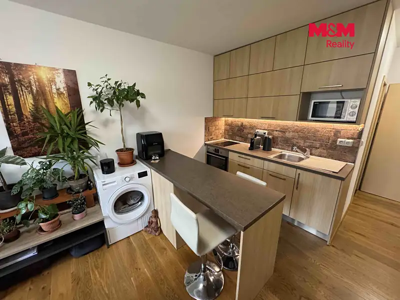 Pronájem bytu 1+kk 28 m², Strakonice – náhled fotky 3