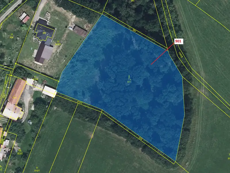 Dražba lesa 8233 m², Sruby – náhled fotky 2