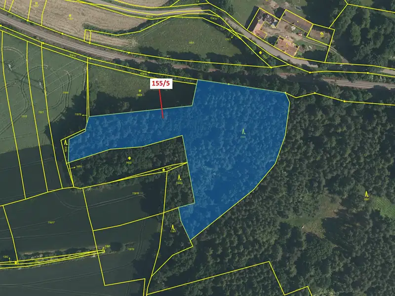 Dražba lesa 11172 m², Nerestce – náhled fotky 2