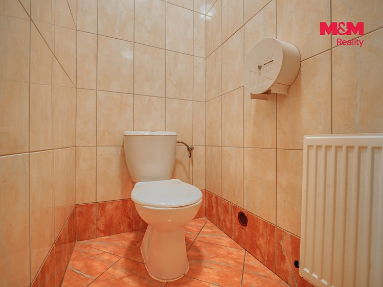 Комерційне приміщення в оренду, 145 м² (12 з 20)