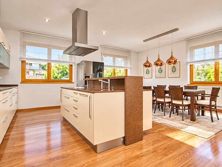 Prodej domu, 376 m² (4 z 28)
