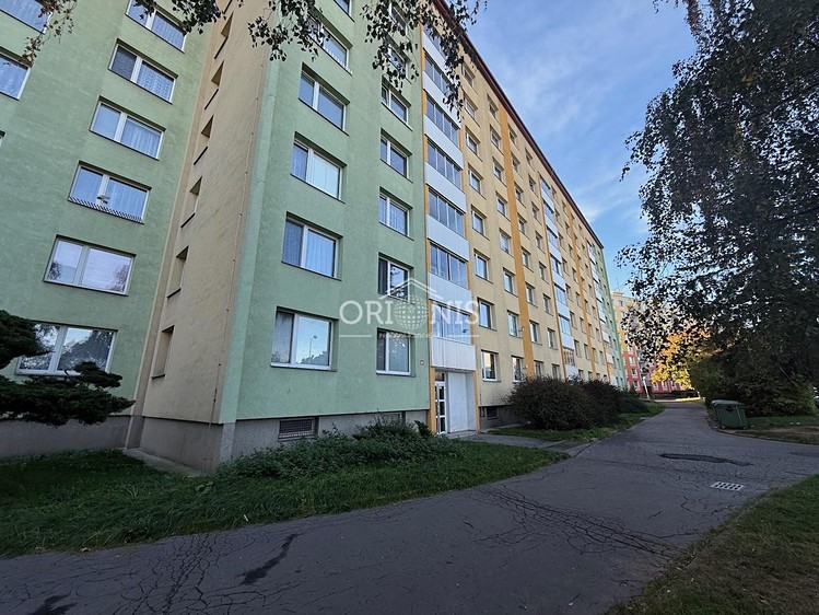 Wohnung 1+1 zur Miete, 36 m² (11 von 11)