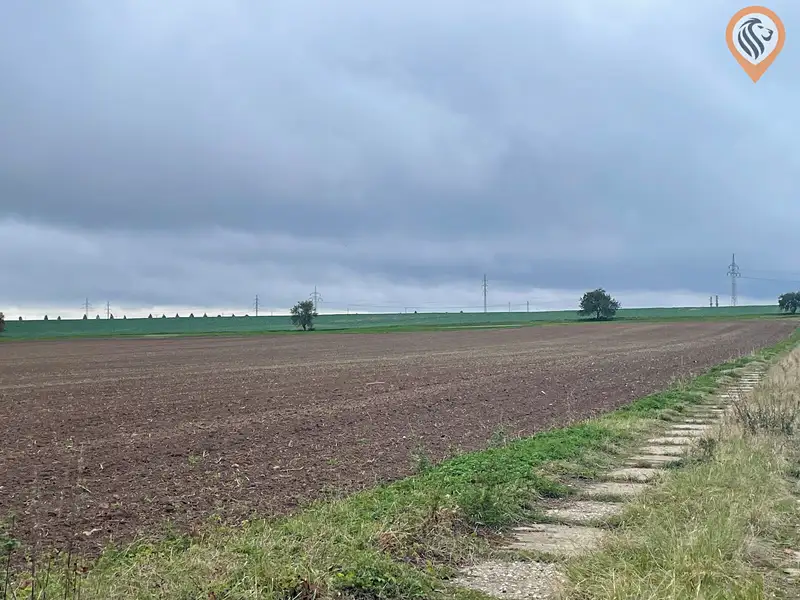 Prodej pole 51051 m², Úhonice – náhled fotky 2