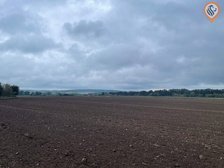 Grundstück zum Kauf, 51.051 m² (13 von 17)