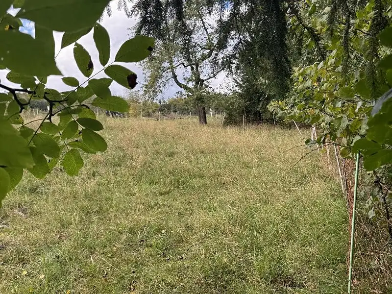 Prodej pozemku 10821 m², Velké Svatoňovice – náhled fotky 2