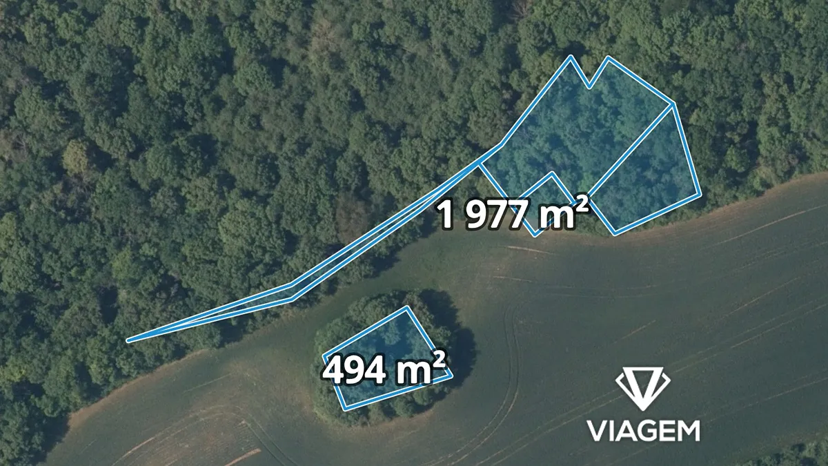 Prodej lesa 2471 m²