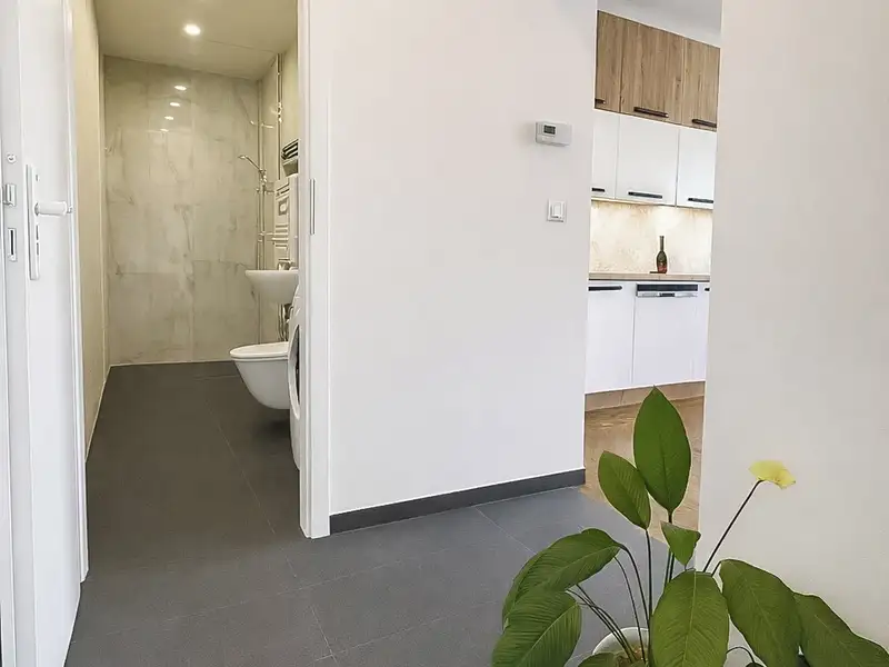 Pronájem bytu 2+kk 80 m², Praha – náhled fotky 3