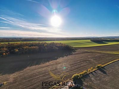 Ділянка на продаж, 16 289 м² (2 з 6)