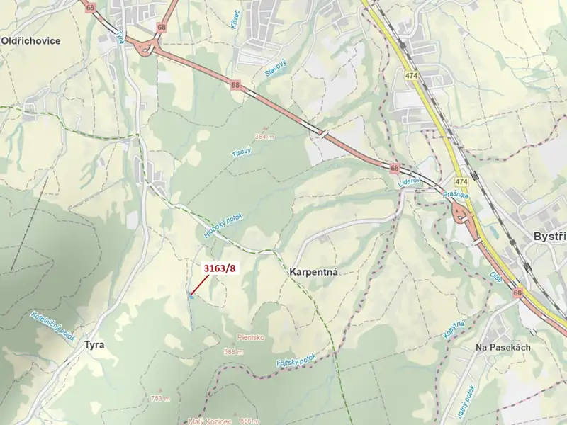 Dražba lesa 1981 m², Třinec – náhled fotky 1