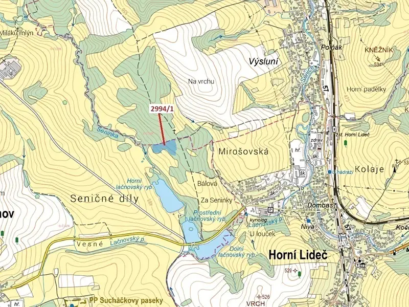 Dražba lesa 15135 m², Lačnov – náhled fotky 1