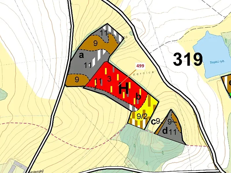 Dražba lesa 25097 m², Kardašova Řečice – náhled fotky 3