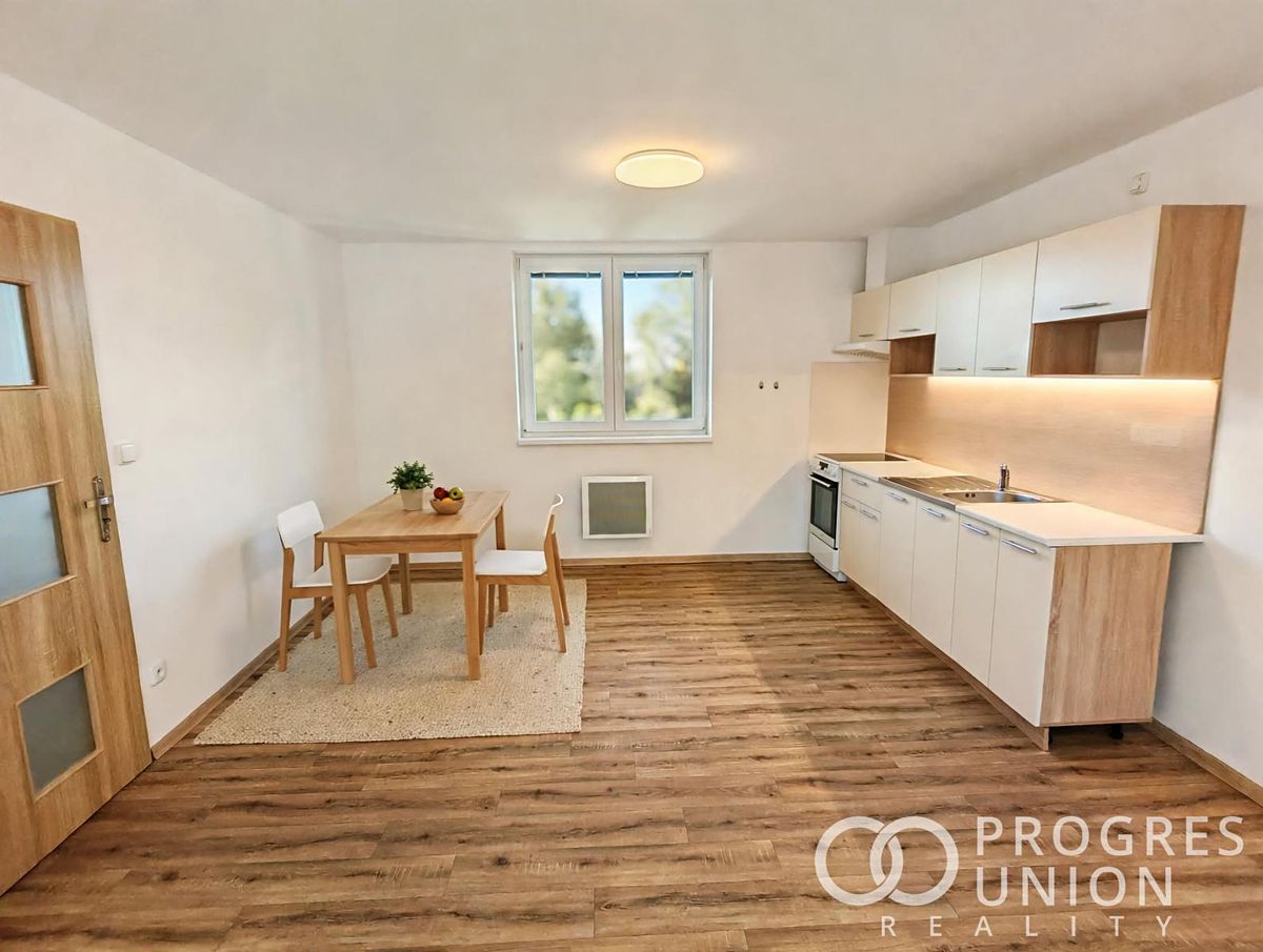 Pronájem bytu 2+kk 55 m²