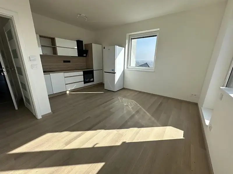 Pronájem bytu 2+kk 66 m², Praha – náhled fotky 3