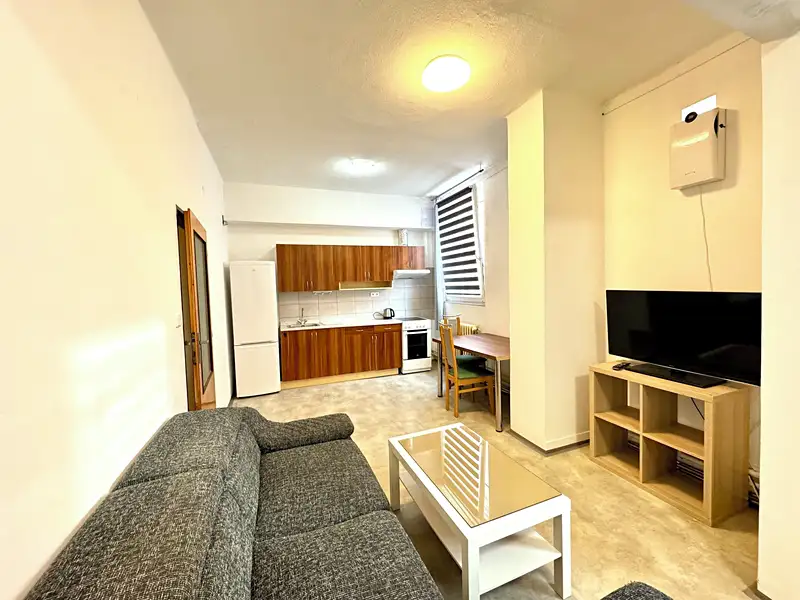 Pronájem bytu 1+kk 46 m², Tachov – náhled fotky 1