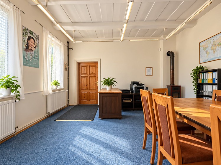 Будинок на продаж, 290 м² (9 з 22)