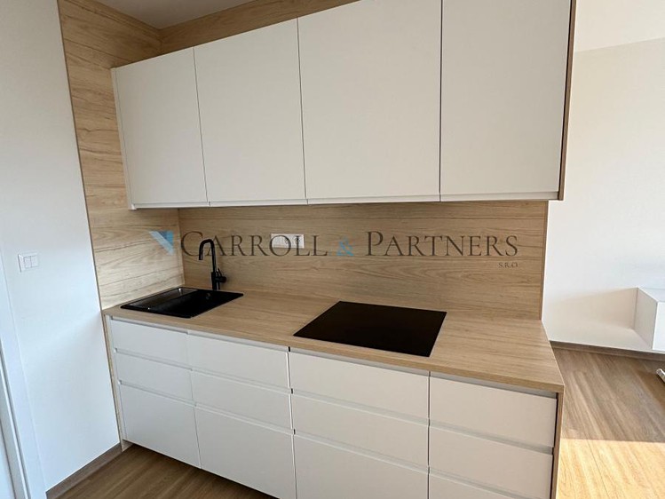 Квартира 1+kk в оренду, 40 м² (22 з 25)