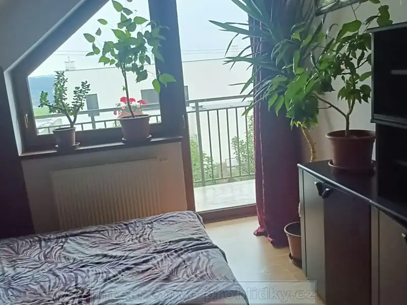 Pronájem bytu pokoje 21 m², Praha – náhled fotky 2
