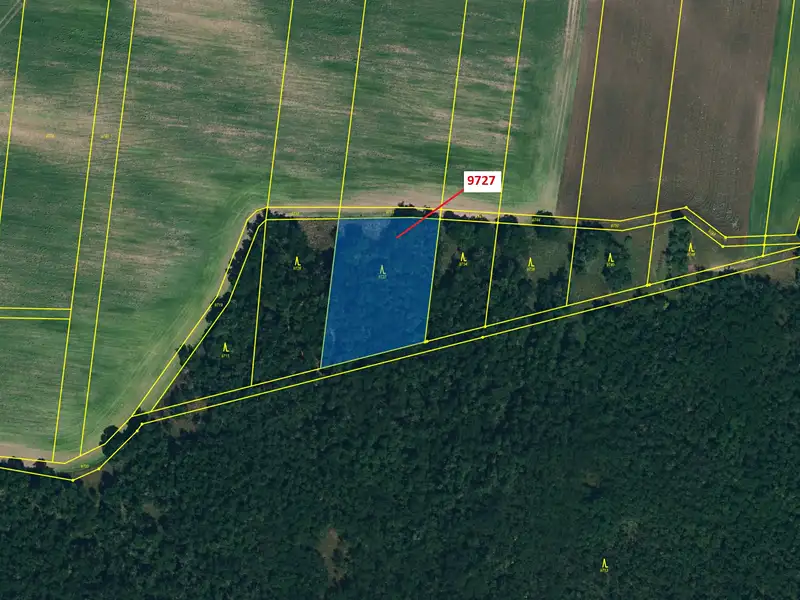 Dražba lesa 3629 m², Oleksovice – náhled fotky 2