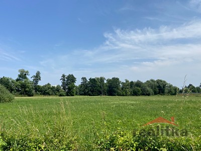 Prodej  komerčního pozemku 10 900 m²