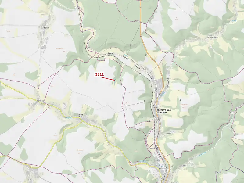 Dražba lesa 2084 m², Bělá nad Svitavou – náhled fotky 1