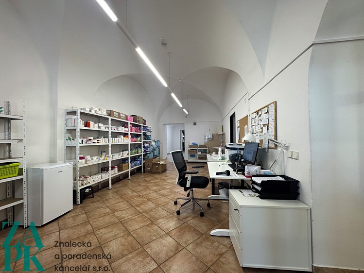 Pronájem komerčního prostoru, 226 m² (13 z 31)