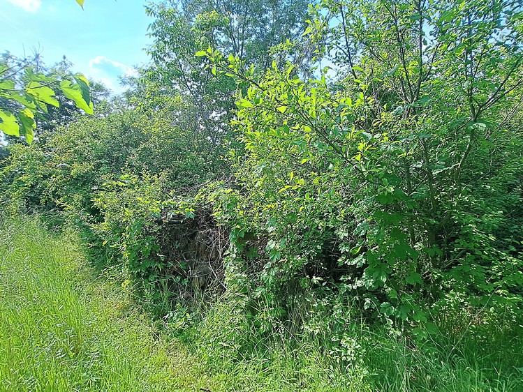 Ostatní